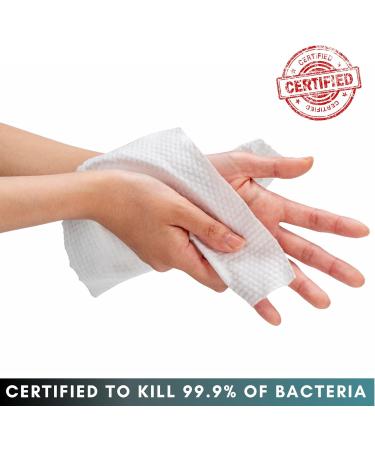 Labsales Heavy Duty Industry Cleaning Wipes Antibacterial XL Textured Wipes For Hands Surfaces & Tools Tough On Stains Kind On Skin Tub Of 100 Wet Wipes (Single Tub (100 Wipes)) - Buy Online on GoSupps.com