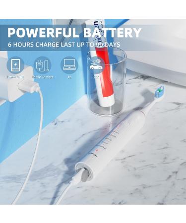 POTICO Sonic Electric Toothbrush for Adults - 8 Brush Heads, Smart Timer, 5 Modes, IPX7 Waterproof, Rechargeable - White - Buy Online on GoSupps.com