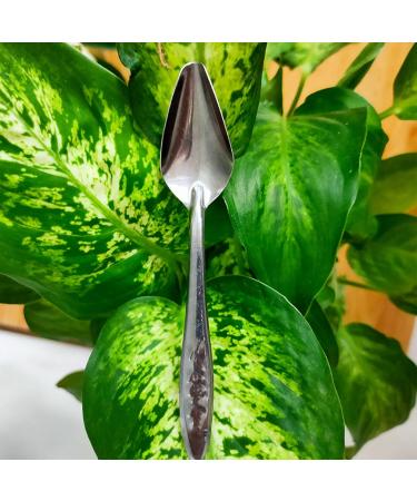 Metal Parrot Feeding Spoon - Stainless Steel Hand Feeding Spoon for Cockatiels & Small Birds - Perfect for Food Milk & Water - Buy Online on GoSupps.com