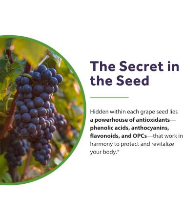 Doctor's Recipes Grape Seed Extract 35000 mg Equivalent High Strength 70:1 Standardized Extract with 95% Proanthocyanidins Non-GMO Antioxidant Support Heart Immune & Skin Health 60 Veg Caps - Buy Online on GoSupps.com