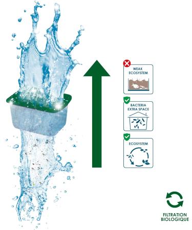 CIANO Aquarium Consumables - Pack of 3 Months S - Buy Online on GoSupps.com