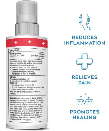 Remedy + Recovery Medicated Hot Spot Spray for Dogs 4oz | Soothing Relief for Skin Irritations - Buy Online on GoSupps.com