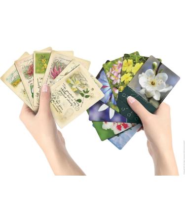 Creature Comforters Bach Flower Divination Cards Pack 38 Beautiful illustrations proverbs quotes affirmations - Buy Online on GoSupps.com