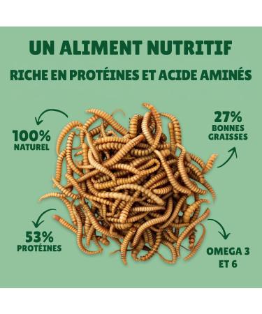 Dried Flour Worms 5 kg Au Comptoir de No 100% Natural Rich in Protein and Good Fats to Fat Flour - Buy Online on GoSupps.com