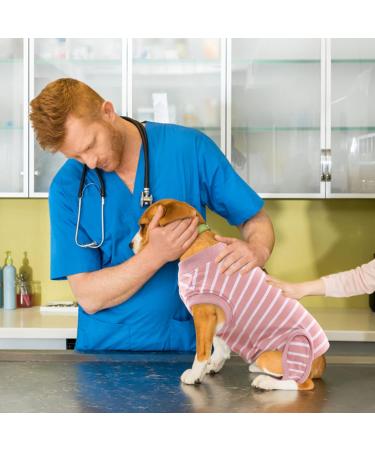 Breathable Hjumarayan Dog Castration Body Suit - Post-Surgery Recovery Wear for Small to Large Dogs | Pink Striped Design - Buy Online on GoSupps.com