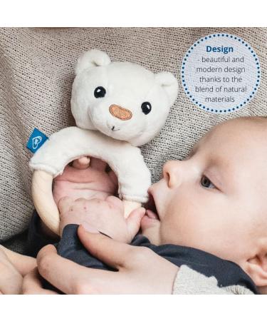 Whisbear Eco Bear Baby Teether - Natural Wooden Teething Aid for Babies | Safe & Eco-Friendly Teething Solution - Buy Online on GoSupps.com