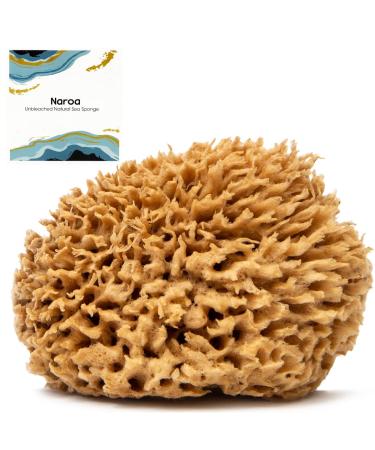 Naroa Natural Sea Sponge for Bathing | Unbleached Shower Body Scrubber Puff | Soft Gentle Bath Sponge for Healthy Skin | Eco Friendly Plastic Free Renewable Sponge for Men Women (X Large)