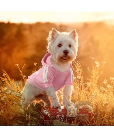 Dolahovy Dogs Hoodie - Stylish Autumn Winter Sweater Vest for Small Medium Dogs & Cats | Cozy Puppy Costumes & Coats in Pink - Buy Online on GoSupps.com