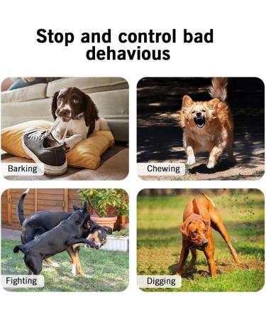 Queenmew Anti Bell Device for Dogs - 3 Modes Ultrasound Bark Control 33ft Range IPX4 Waterproof - Effective Training for Large & Small Dogs Indoors & Outdoors - Buy Online on GoSupps.com