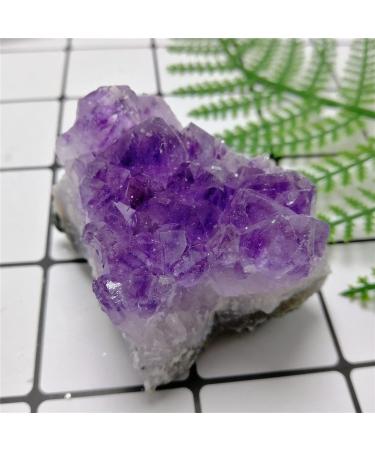 Natural Dream Amethyst Quartz Crystal Cluster Amethyst Geode Specimen Suitable for Home Garden Decor Crystal Cluster (Color : Amethyst Size : 100g) 100g Amethyst - Buy Online on GoSupps.com