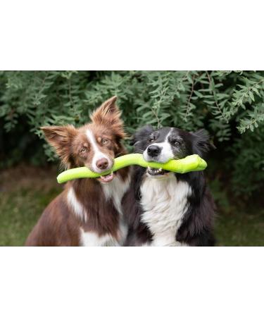 TRIXIE Robust Snack-Snake for Dogs - 42 CM Green TPR Chew Toy | Keep Your Pet Engaged with Snacks & Treats - 34949 - Buy Online on GoSupps.com