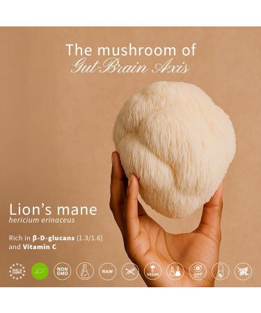 Hifas de Terra Mico-Leo - Organic Lions Mane Supplement Capsules Lion's Mane Mushroom Extract Nootropic for Brain Focus and Memory for Adults - 70 Vegan Capsules - Buy Online on GoSupps.com