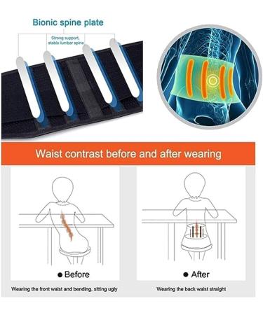 Buy Tylxayoxa Lordosis Support Belt - Breathable Back Pain Relief for Herniated Disc & Sciatica | Self-Warming | XL Size for Men & Women - International Shipping - Buy Online on GoSupps.com