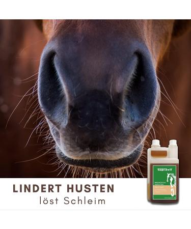 Supravit Bronchial Herbs for Horses | 1000ml Liquid Herbal Mixture | Supports Airway Health with 14 Natural Ingredients - Buy Online on GoSupps.com