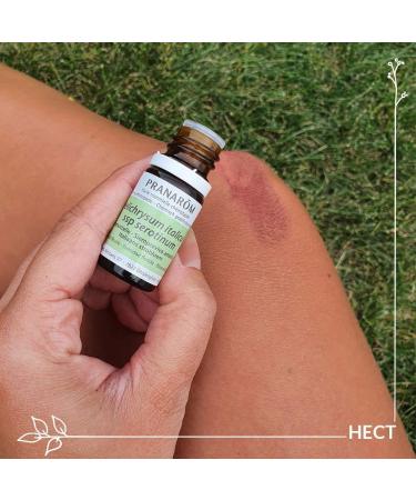 Siempreviva Yellow Summit Florida 10 ML - Premium International Shipping & Quality Assurance - Buy Online on GoSupps.com