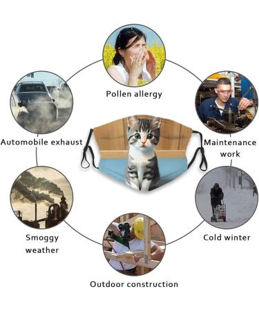 Zyvia 5-Layer Pleated Dust Masks for Bedroom & Kittens | Activated Carbon Filter Adjustable Soft & Breathable - Pack of 10 - Buy Online on GoSupps.com