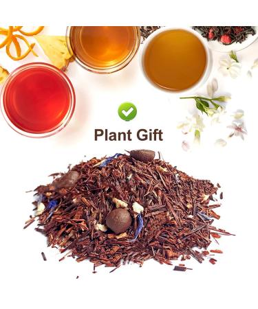 Plant Poison Vanilla Latte Rooibos Tea | Loose Leaf Blend with Chrysanthemum Orange Peel & Coffee Beans | 70g - Hot & Iced Tea - Buy Online on GoSupps.com