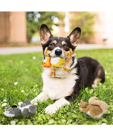 Interactive Plush Dog Toys - 4 Pack Awoof Squeaky Chewing Bones for Small & Medium Dogs | Durable Cotton Fabric - Buy Online on GoSupps.com