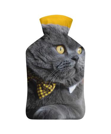 Fat Cat Hot Water Bottle With Cover Plush Bed Bottle Hand Warmer For Adults And Children 26.5X15.3cm