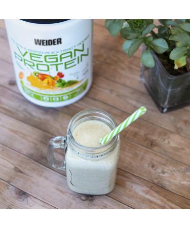 Weider Vegan Protein 750g - Plant-Based Protein Powder (1 Pack) - White - Buy Online on GoSupps.com