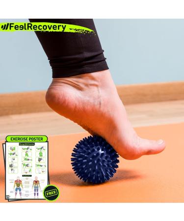 Set of 3 Hedgehog Massage Balls for Plantar Fasciitis Relief & Foot Reflexology - Mobility Relaxation & Rehabilitation - Buy Online on GoSupps.com