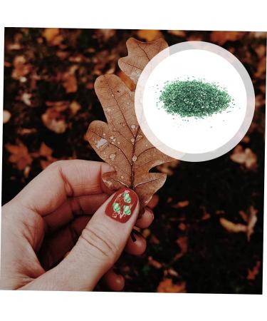 HAKIDZEL 1 Glass Chip Rhinestones for Nails Nail Art Crushed Glass Nail Sequins Ornaments Glass Chips in Bulk Resin Fillers Metal Filler DIY Epoxy Resin Nail Art Charms Nail Stone Irregular 0.5X0.3cm Green - Buy Online on GoSupps.com