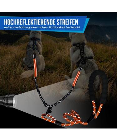 Buy Eyin Double Dog Leash for Large Dogs - Flexible Reflective & Healing-Free with 3 Padded Handles | Ideal for 11-68 kg Dogs - Orange - Buy Online on GoSupps.com