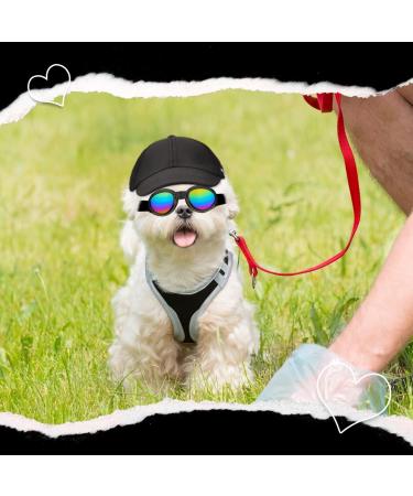Adjustable Small Black Dog Hat with Chin Strap | Puppy Sun Hat for Spring and Summer | Pet Baseball Cap for Small Dogs - Buy Online on GoSupps.com