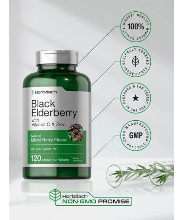 Elderberry Zinc Vitamin C Chewable Tablets | 120 Count Immune Support Complex | Vegetarian Non-GMO Gluten Free - Buy Online on GoSupps.com