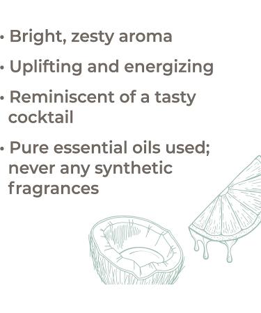 Plant Therapy Lime in The Coconut Essential Oil Blend 10 mL - Aromatic Diffuser for Home, Car, or Office - 100% Pure, Undiluted, Therapeutic Grade - Buy Online on GoSupps.com