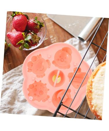 ABOOFAN 5pcs Food Supplement Mold Food Storage Containers Popsicle Molds Gummy Molds - Buy Online on GoSupps.com