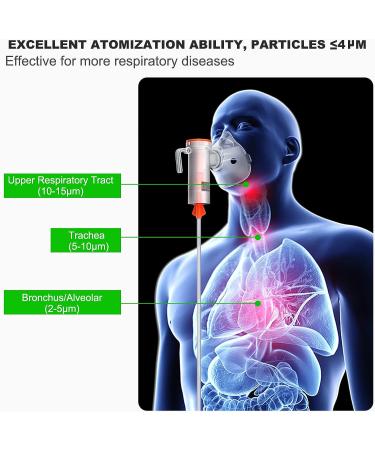 Portable Compressor Nebulizer Machine for Adults and Kids - Jet Nebulizer with Accessory Set, Personal Steam Inhaler for Daily Use - Buy Online on GoSupps.com