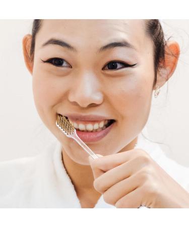 Buy Nolitoy Travel Toothbrush Set - 12 Portable Soft Toothbrushes for Kids & Adults | Wide Brush Head & Clear Handle - International Shipping Available - Buy Online on GoSupps.com