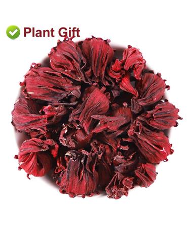 Buy Organic Roselle Hibiscus Tea - Dried Hibiscus Blooms 50g | Health Benefits International Shipping - Buy Online on GoSupps.com
