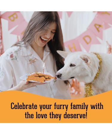 The Granville Island Pet Treatery|Gift Box Cheese Biscuits for Dogs All Natural & Chemical- Free Great As A Hostess Gift Or Thank You Made in Canada|06960 Cheese 200 g (Pack of 1) - Buy Online on GoSupps.com