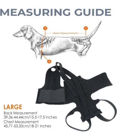 Luckxing Breathable Dog Back Brace - Helps Dogs with Spinal Problems Rehabilitation | Back Support Rehabilitation Easy to Wear and Off Black - Buy Online on GoSupps.com