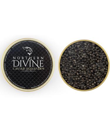 Northern Divine (Canadian Farmed) White Sturgeon Caviar - 30gr Tin - Buy Online on GoSupps.com