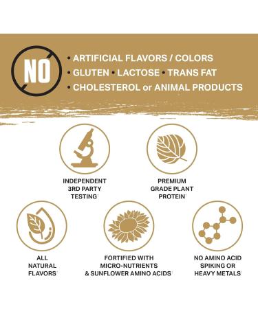 Ambrosia Planta - Plant-Based Protein Powder 20g | Dairy Free Vegan Protein Powder with BCAA Amino Acids | Keto-Friendly No Added Sugar | 25 Servings | Candy Bar - Buy Online on GoSupps.com