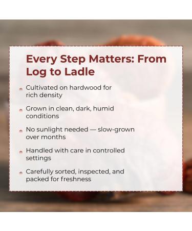 Plum Dragon Ling Zhi | Reishi Mushroom - 1lb - Buy Online on GoSupps.com