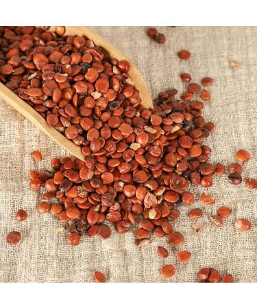 Suan Zao Ren Semen Ziziphi Spinosae Semen Ziziphi Spinosae Zizyphus Jujuba spine Date Seed Semen Zizyphi Spinosae Zizylphus Jujuba Mill. Var. Spinosus Hu semen suanzaoren 16oz - Buy Online on GoSupps.com