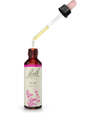 Bach Original Flower Remedies Elm 20ml Dropper Bottle - Vegan Formula for Emotional Wellness - Buy Online on GoSupps.com