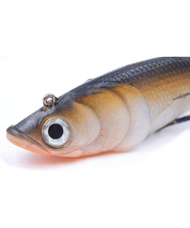 Buy Behr Big Bait 20cm Pre-Leaded Rubber Fish Set Artificial Bait for Pike Catfish Cod + Free Snap Set #4 - International Shipping Available - Buy Online on GoSupps.com