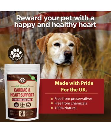 Hawthorn Heart Murmur Supplement for Dogs | Pet Cardio Strength Vitamins for Heart Health | Made in USA 4oz - Buy Online on GoSupps.com