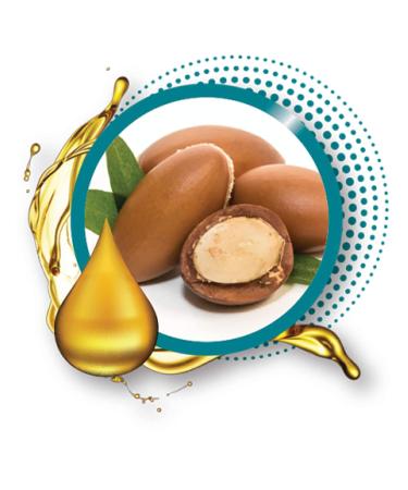Broadway Vita-Lip Argan Oil Lip Gloss - Pack of 6 | Hydrating & Glossy Finish | International Shipping Available - Buy Online on GoSupps.com