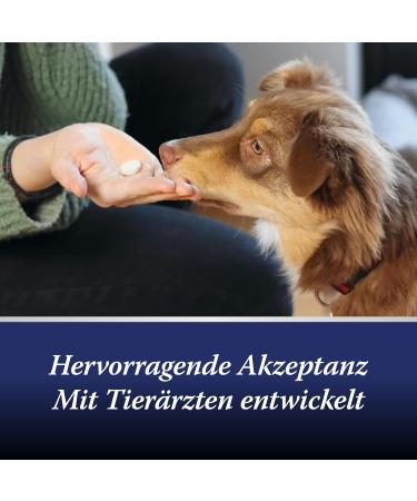 Canosept Joint Tablets for Dogs - Green Lipped Mussel & Glucosamine - Omega 3 Joint & Bone Protection - 20 Tablets for Osteoarthritis Relief - Buy Online on GoSupps.com