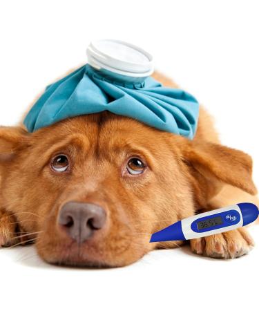 Pet Thermometer Digital Veterinary Thermometer Waterproof Digital Thermometer for Pets Pet Thermometer with Reminder Function Thermometer for Dogs Cats Horse Cattle Pigs Sheep - Buy Online on GoSupps.com