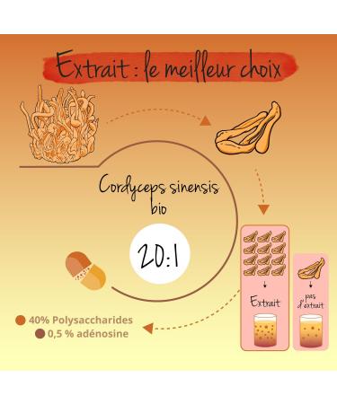 Cordyceps Sinensis BIO | Unique : Extrait Biologique (20:1) 13000 mg de Poudre CS-4 | Adaptog ne + Immunit | Sans Additifs & Vegan | Vegavero  - Buy Online on GoSupps.com