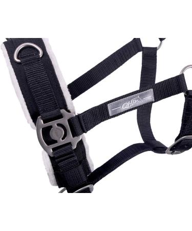 Netproshop Cavesson Lunging Aid for Shetland Pony & Cob - Full Size Black | Perfect Groundwork Training Tool - Buy Online on GoSupps.com