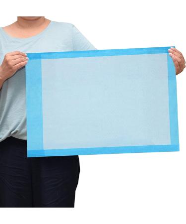 Dealmed Disposable Underpads 2-Ply Tissue Fill 24 x 17 Blue 300 Count - Non-Sterile Medical Underpads for Pets, Furniture Protection & More - Buy Online on GoSupps.com