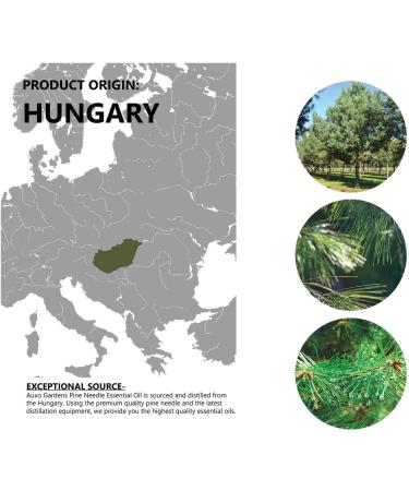 Pine Needle Essential Oil 1oz (30ml) -100% Natural and Pure Premium Quality Therapeutic Grade Essential Oil for Aromatherapy-Crisp Refreshing and Uplifting Pine Needle 1 Fl Oz (Pack of 1) - Buy Online on GoSupps.com